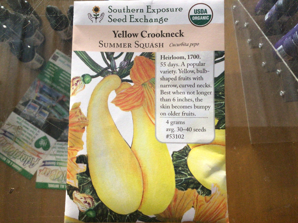 Seeds, Squash Yellow Crookneck