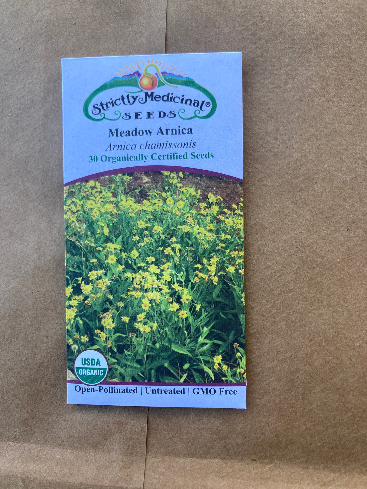 Seeds Arnica, Meadow