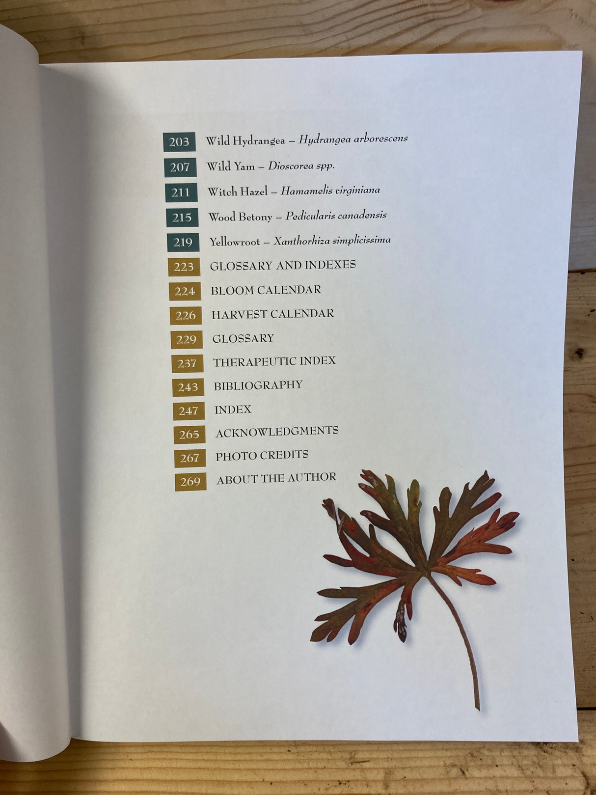 Medicinal Plants of the Southern Appalachians - Book for Sale