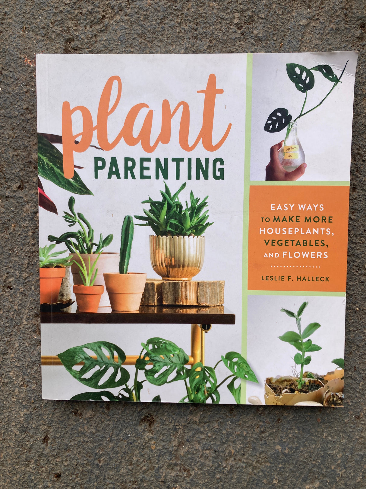 Plant Parenting