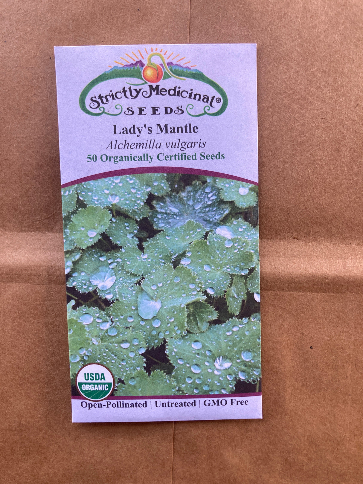 Seeds Lady's Mantle