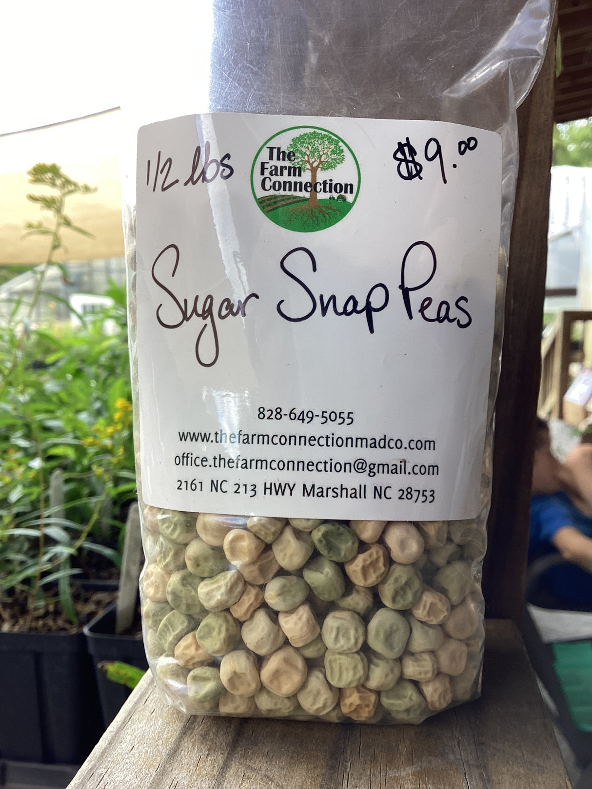 Seeds, Pea Sugar Snap