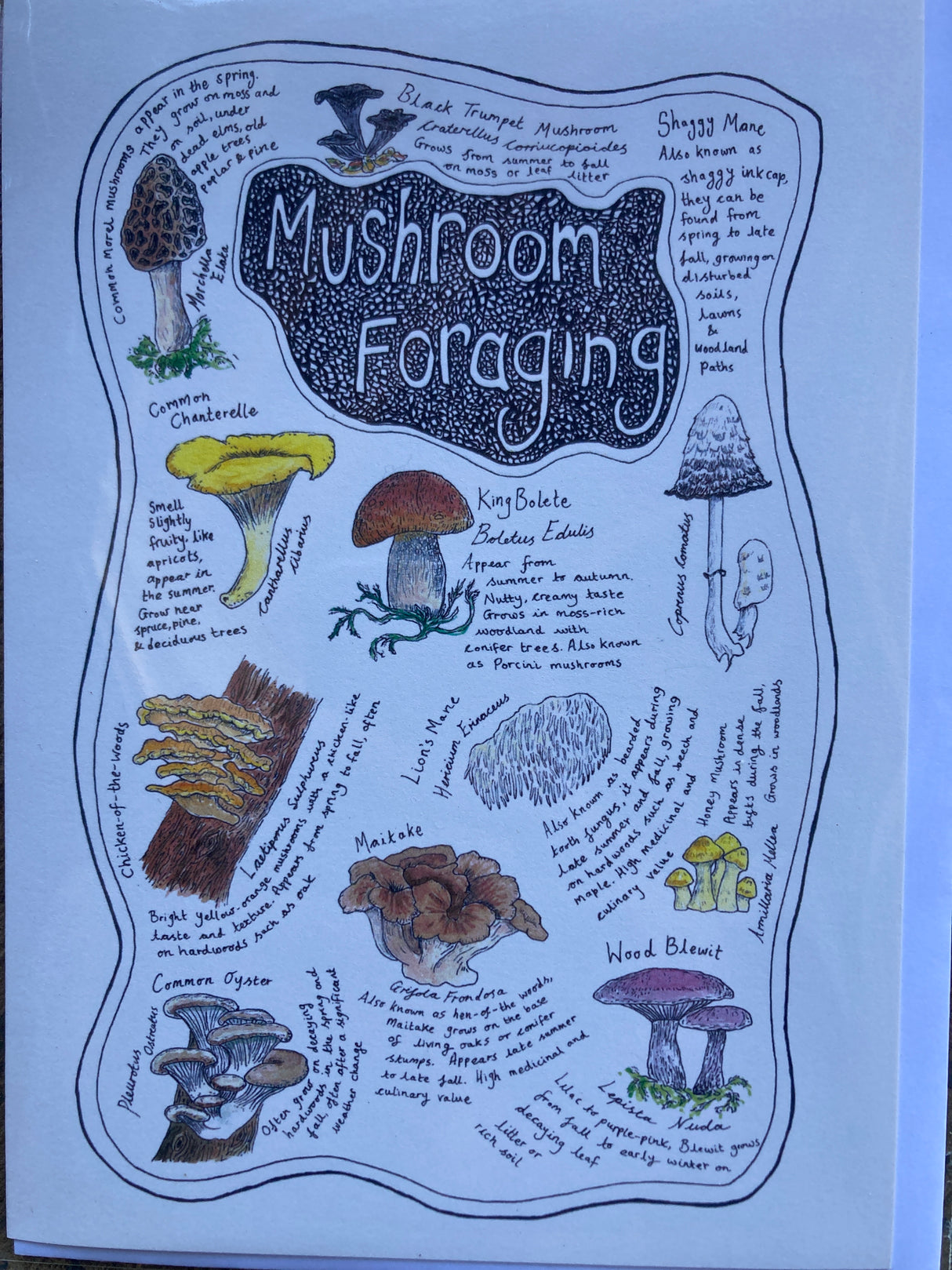 Mushroom greeting card