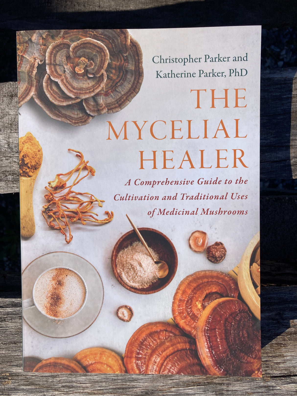 The Mycelial Healer