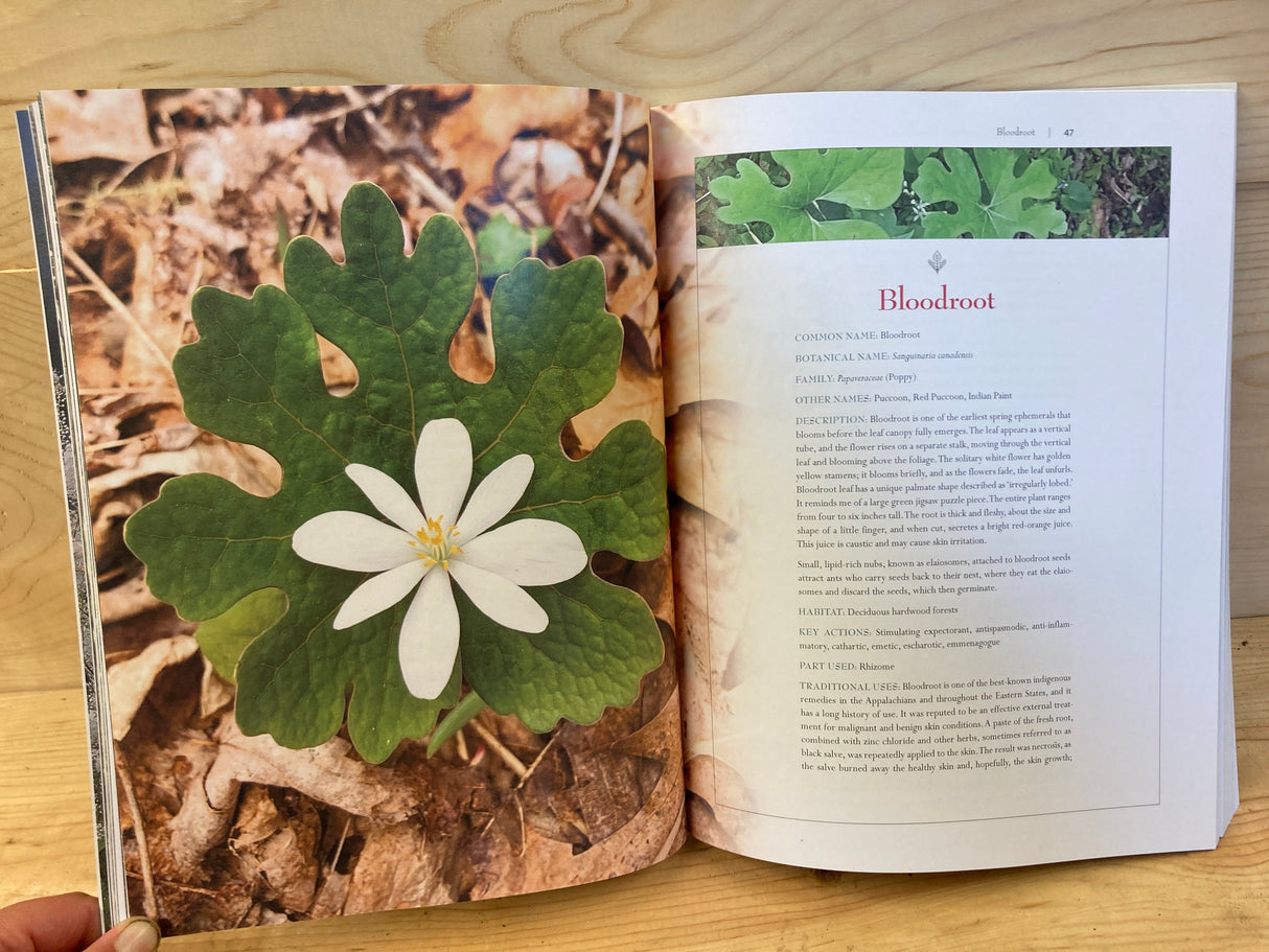 Medicinal Plants of the Southern Appalachians - Book for Sale
