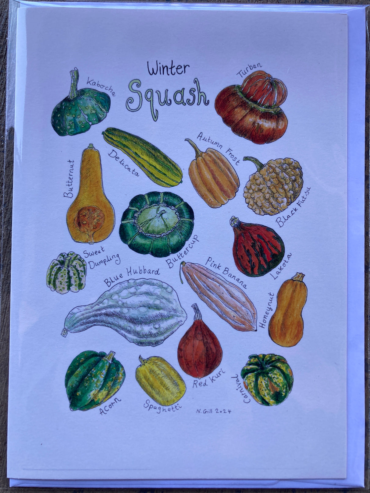 Winter squash greeting card