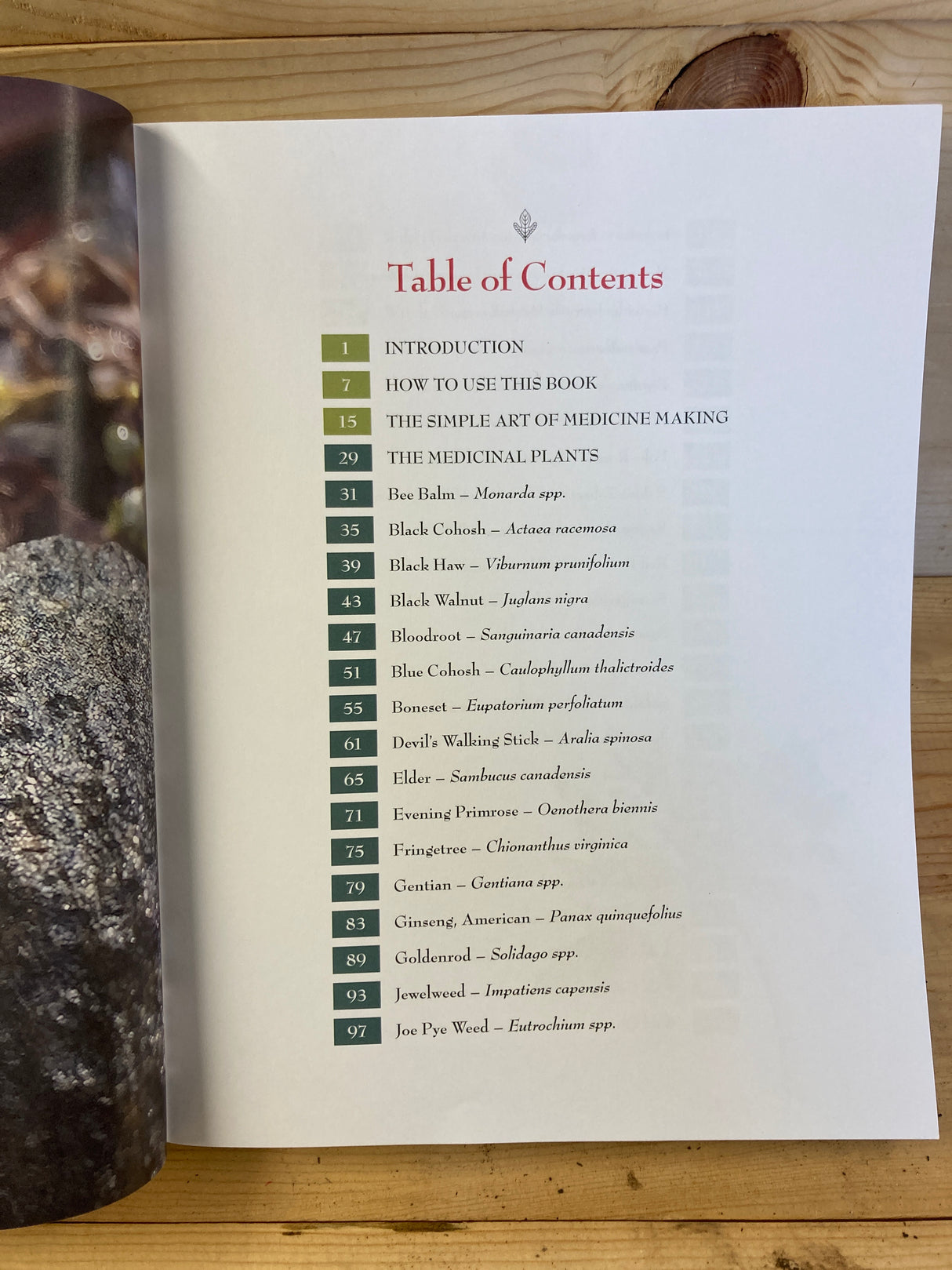 Medicinal Plants of the Southern Appalachians - Book for Sale