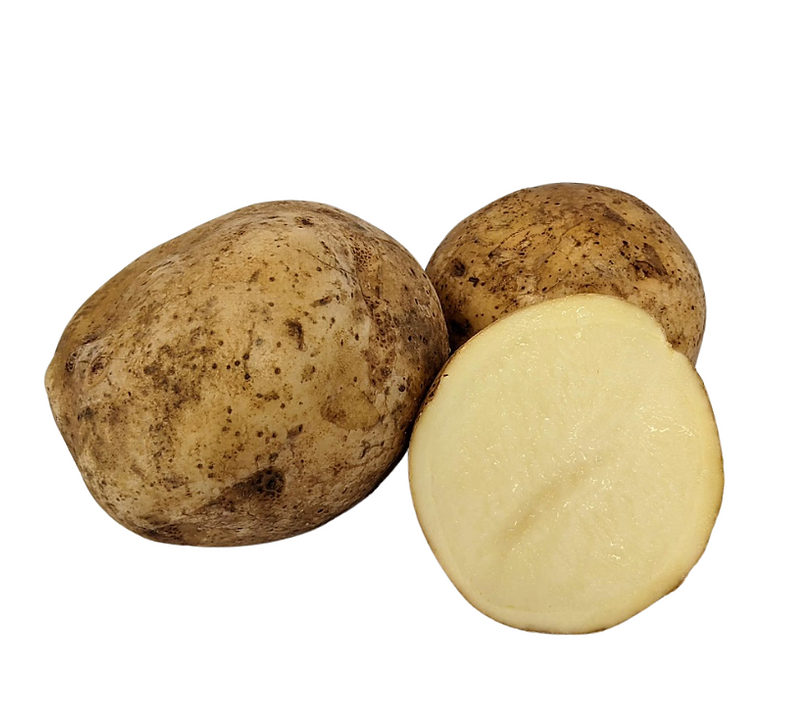 Elba Seed Potatoes For Sale