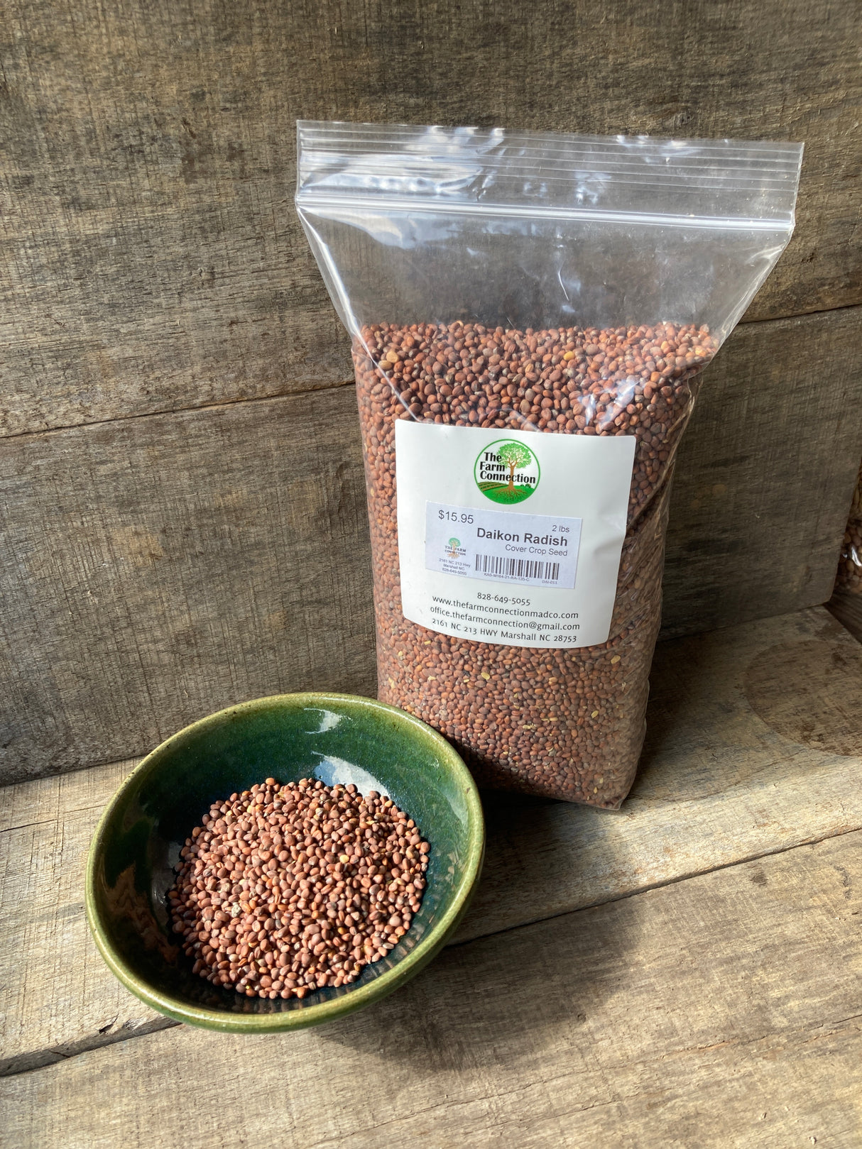 Tillage Radish (Daikon Radish)