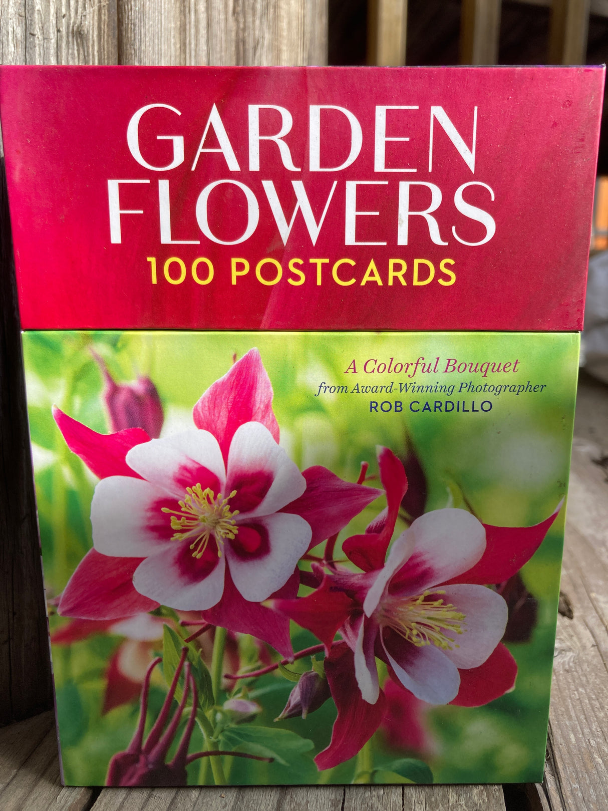 Garden Flowers: 100 Postcards