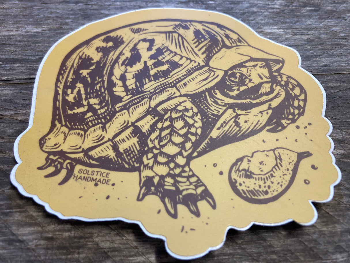 Box Turtle Sticker