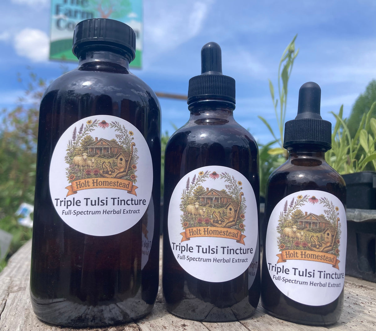 Triple Tulsi Tincture