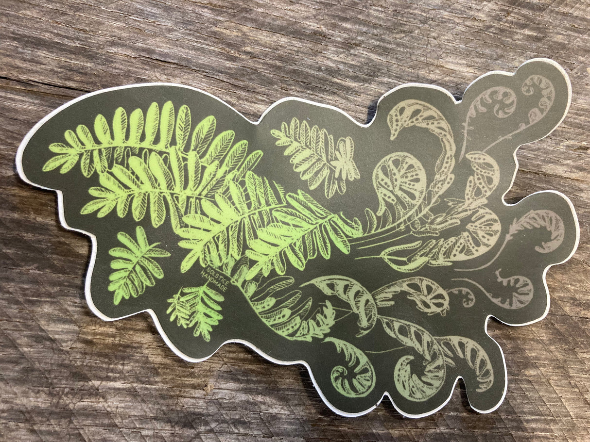 Resurrection Fern Sticker