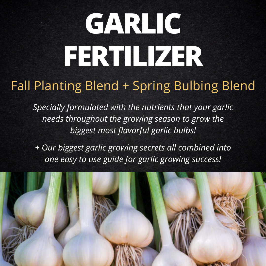 Garlic planting fertilizer custom two part kit