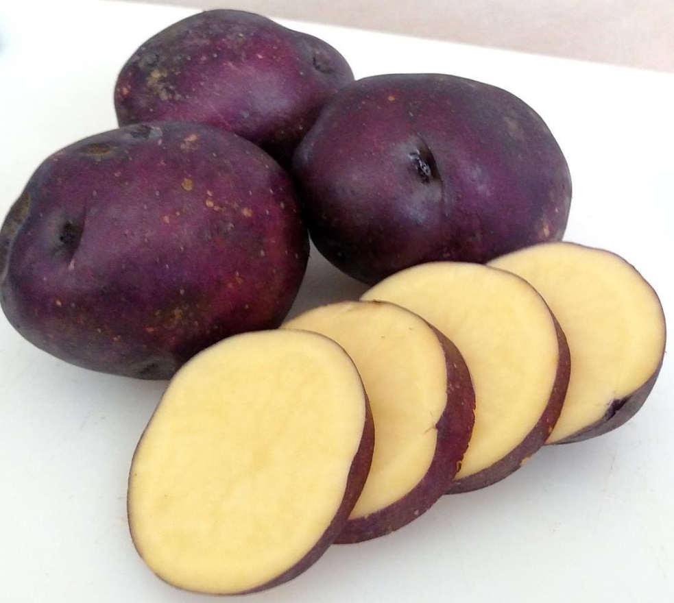 Harvest Moon Seed Potatoes For Sale