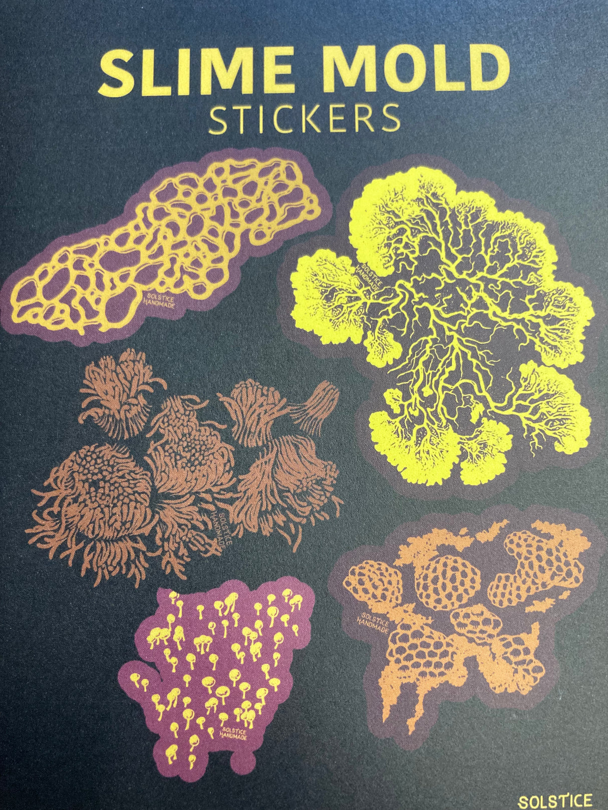 Slime Mold Sticker Set