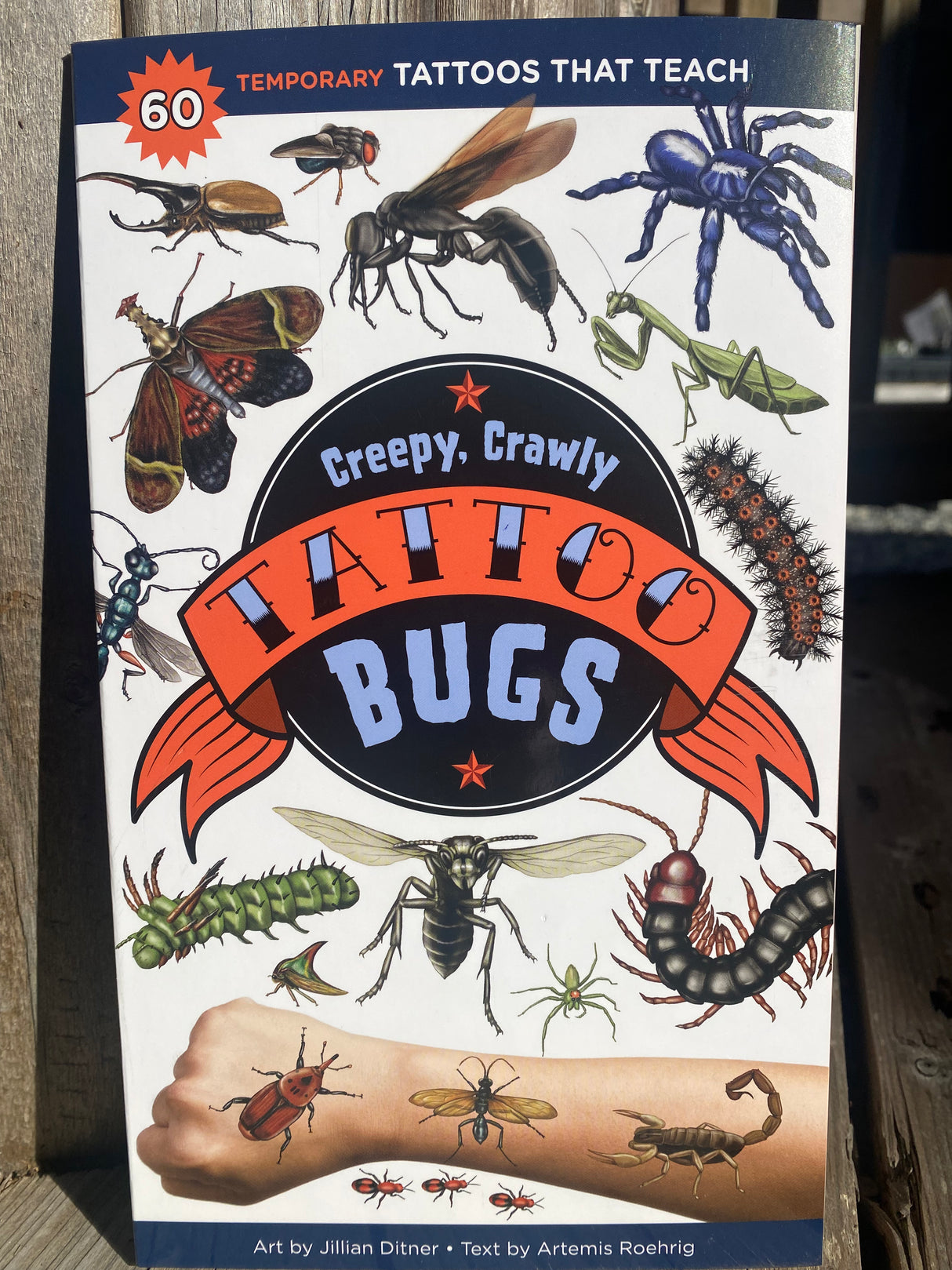 Tattoo Creepy Crawly Bugs