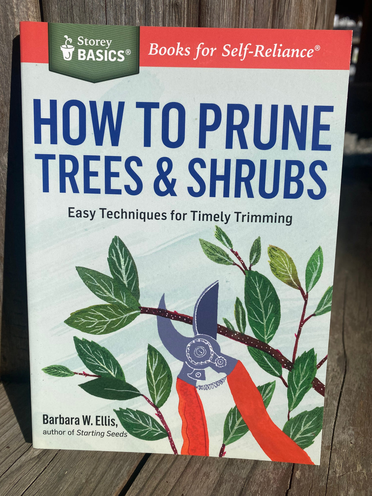 How to Prune Trees and Shrubs