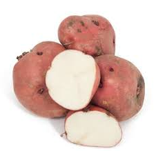 Red Pontiac Seed Potatoes For Sale
