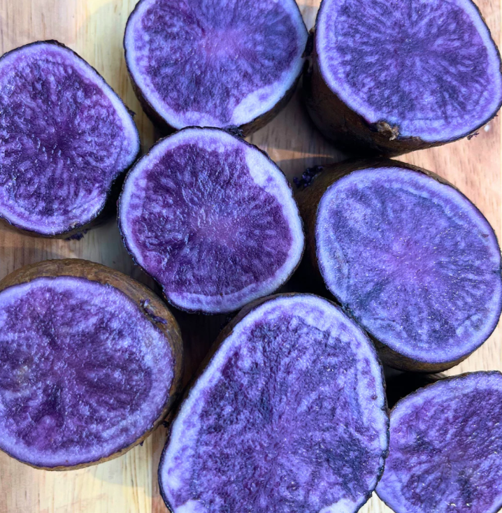 Seed Potato, All Blue, Organic