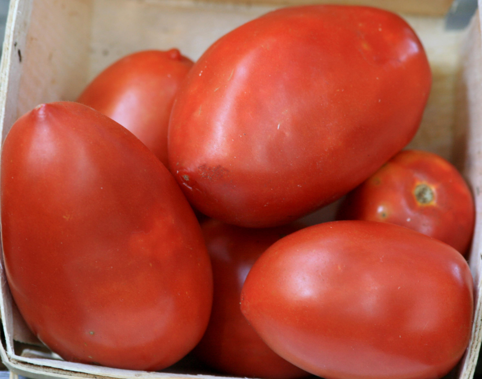 Seeds, Amish Paste Tomato