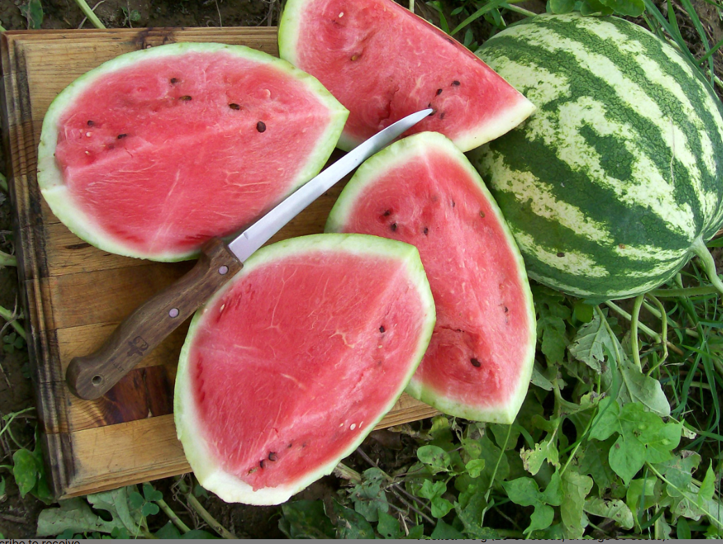 Seeds, Watermelon Crimson Sweet