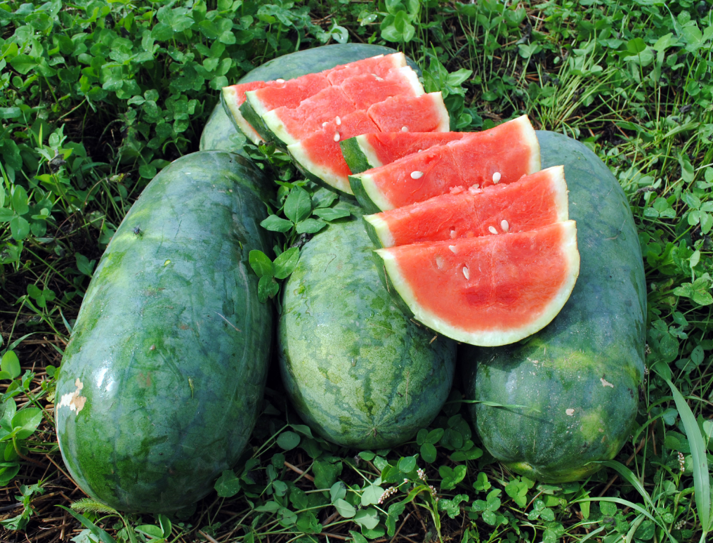 Seeds, Watermelon Strawberry