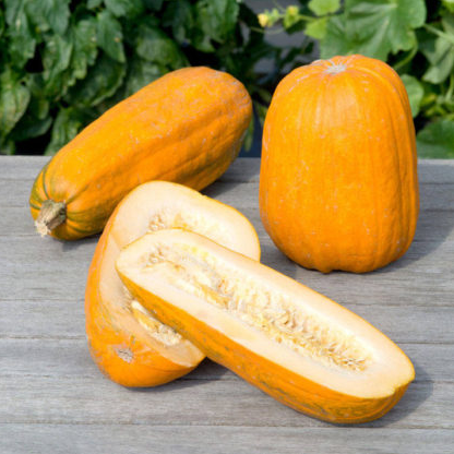 Seeds, Pumpkin, Long Pie