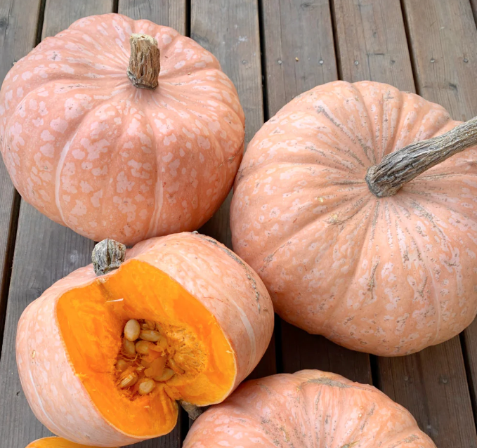 Seeds, Winter Squash, Salmon River