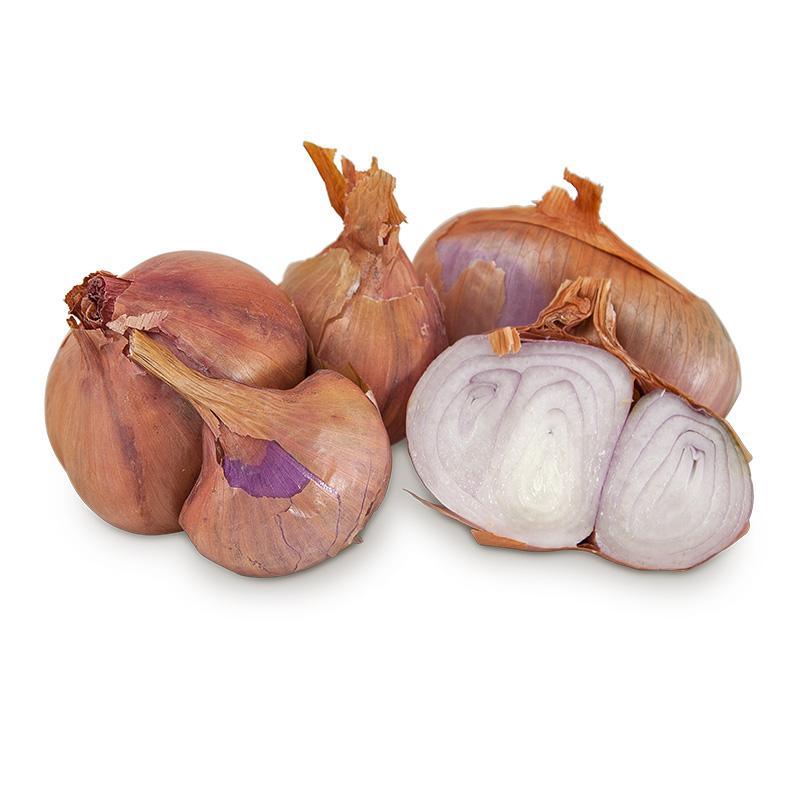 Shallots, Dutch Red Organic