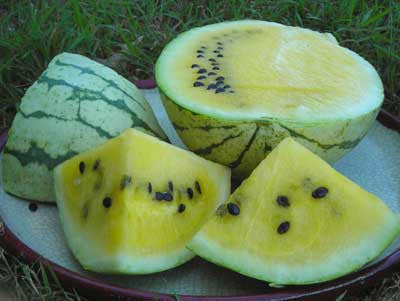 Seeds, Watermelon Early Moonbeam