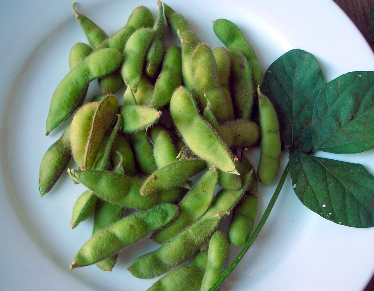 Seeds, Edamame Lanco