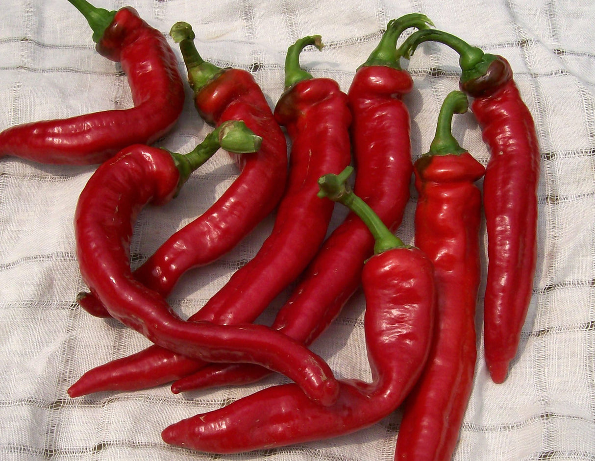 Seeds, Pepper Jimmy Nardello's Italian