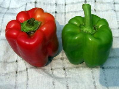 Seeds, Keystone Resistant Giant Sweet Bell Pepper
