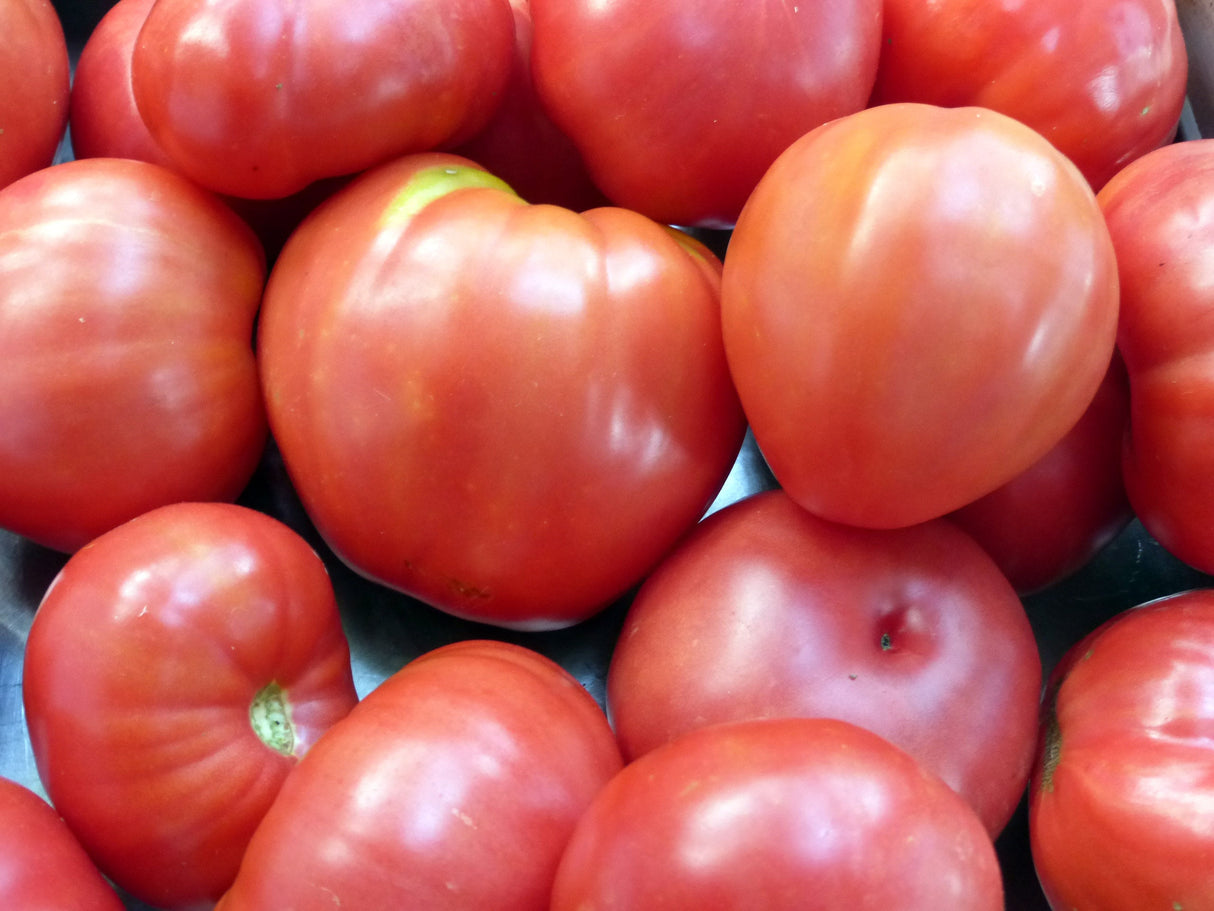Seeds, Tomato Oxheart