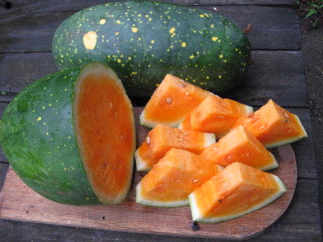 Seeds, Watermelon Yellow Fleshed Moon and Stars