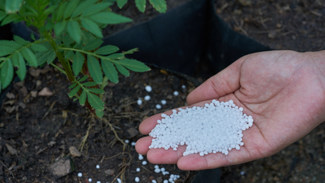Feeding the Plants That Feed Us