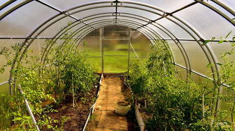 Go Native: Transform Your Permaculture Design with Resilient Local Plants!