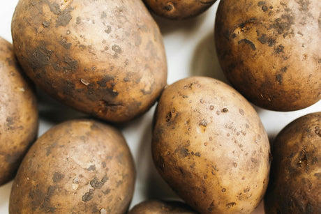 The Ultimate Guide on How To Grow Potatoes: From Seed to Storage