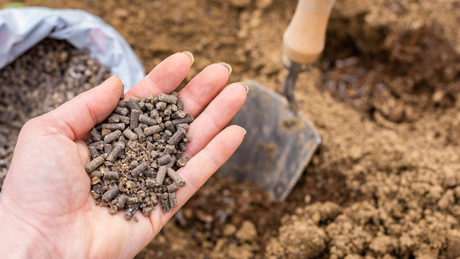 How to Build Healthy Soil This Fall