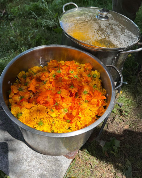 How to Naturally Dye Fabric with Plants: Eco Dyeing Guide for Beginners