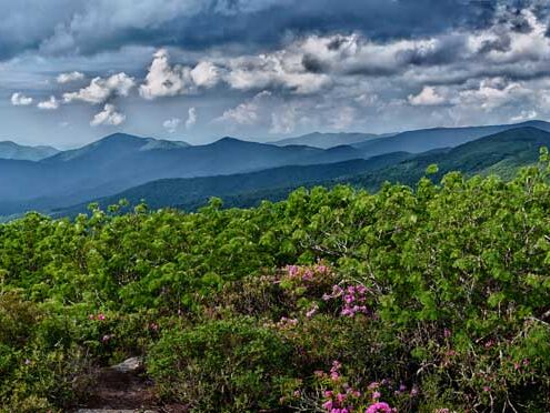 Craggy Gardens pre Hurricane Helene 
