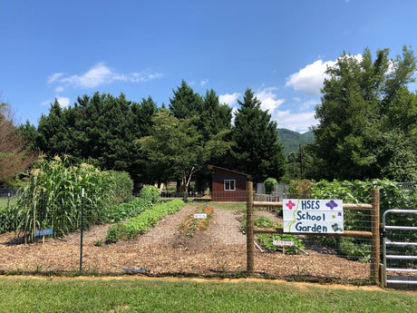 Supporting Our Community Gardens