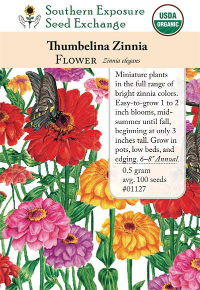 Seeds Zinnia, Thumbelina