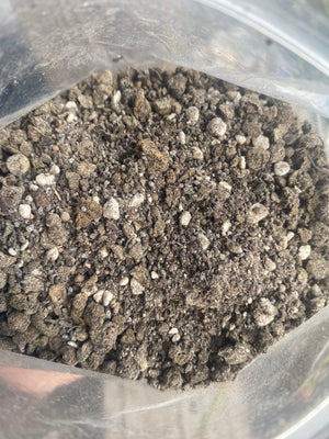 Potato Power Fertilizer