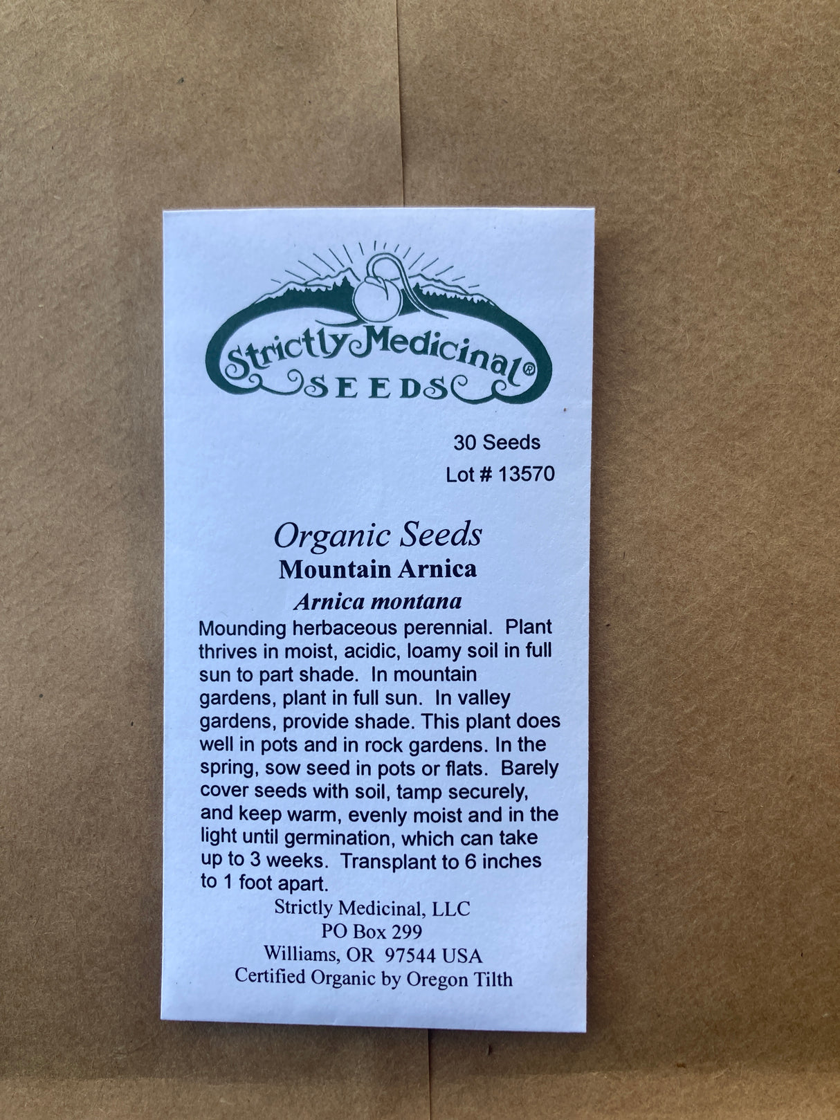 Seeds Arnica, Montana