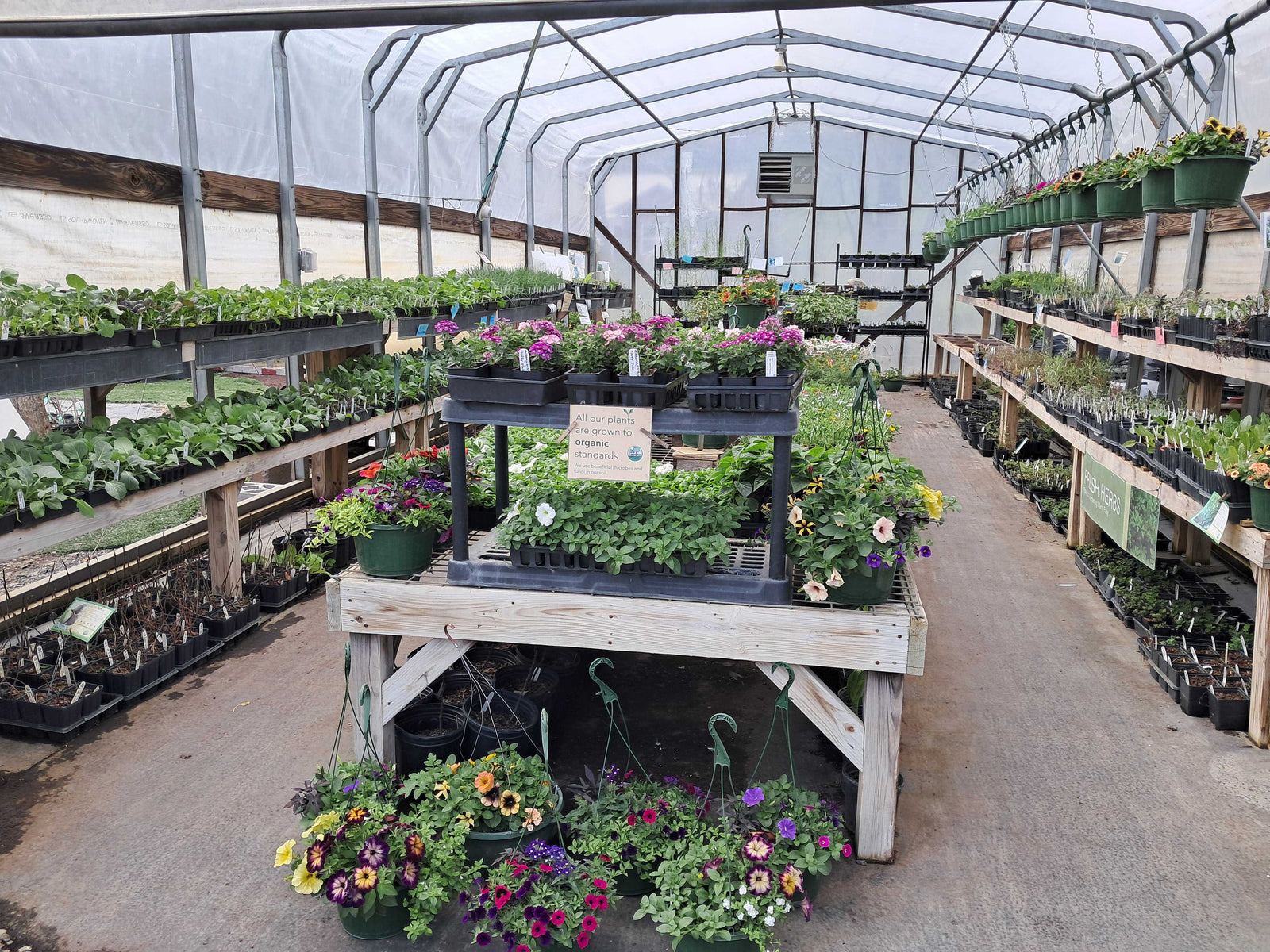 The Farm Connection photo 6