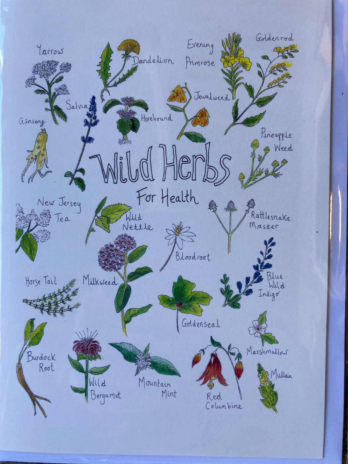 Wild herbs greeting card