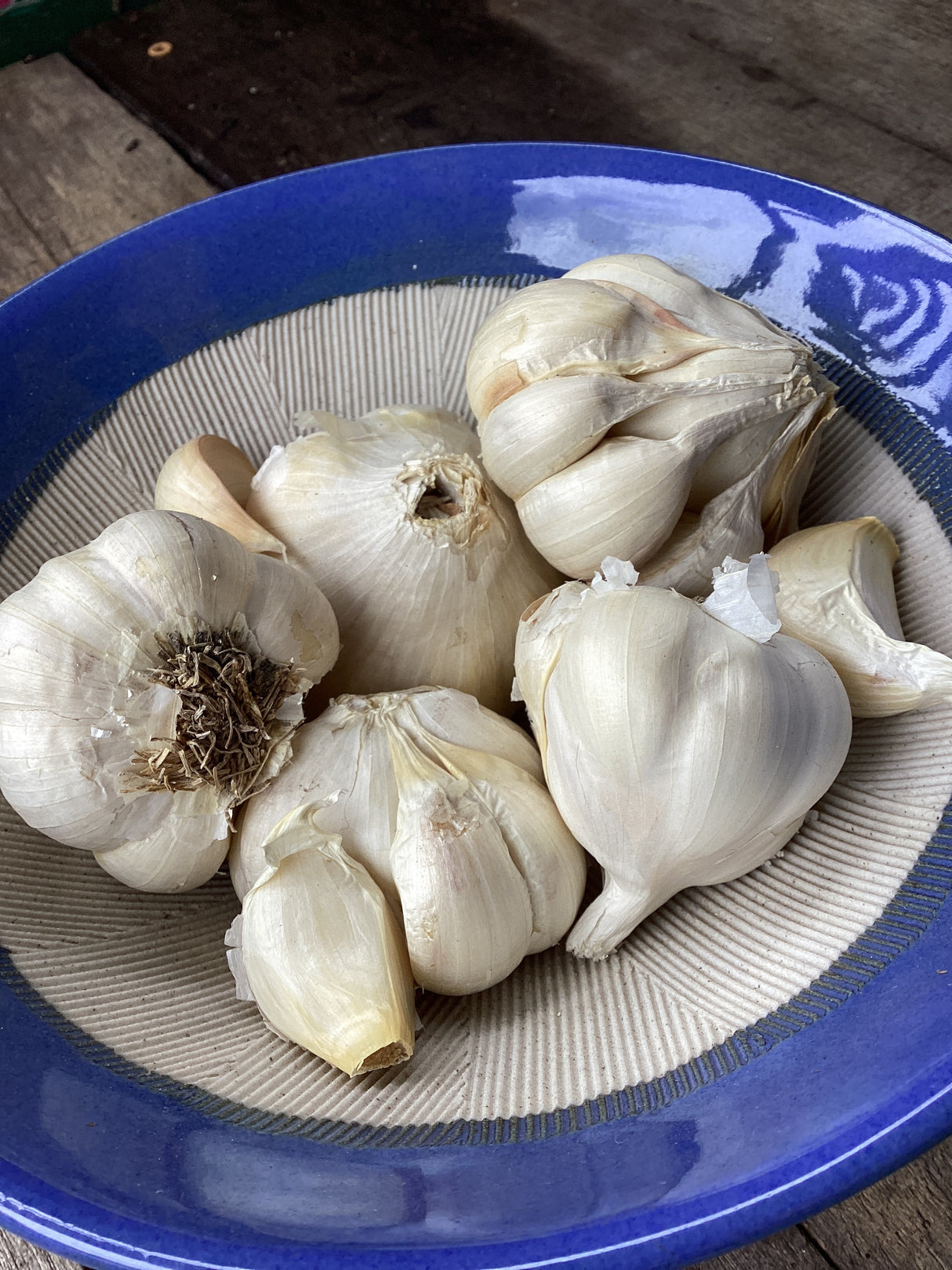 Inchelium Red, Softneck, Organic Seed Garlic
