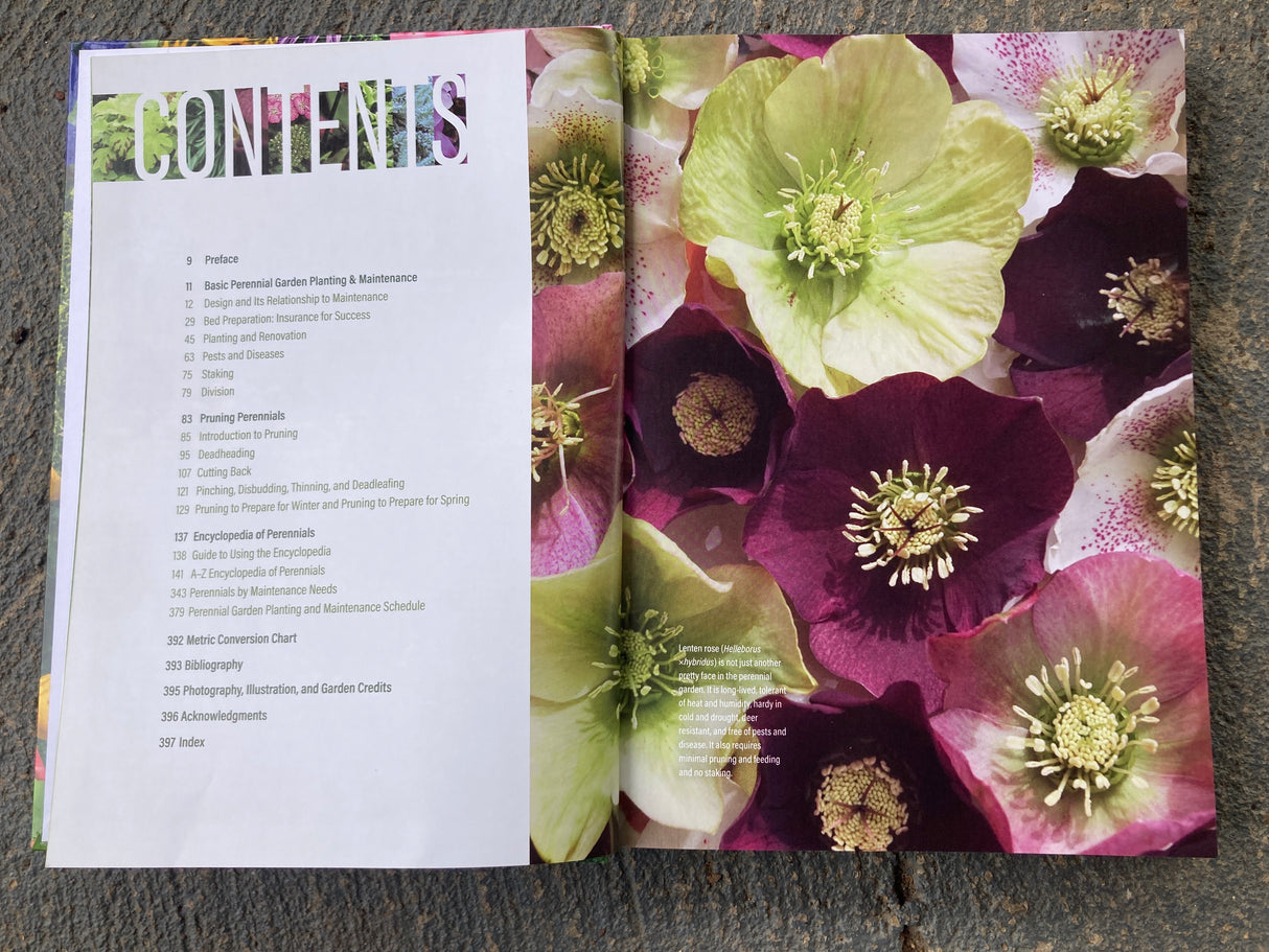The Well Tended Perennial Garden
